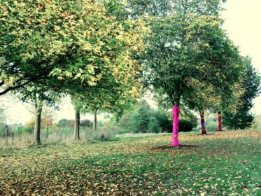 The Three Kings Ferry Meadows Country Park